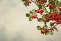 Festive Holly: Season's Berry Elegance