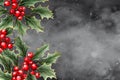 Festive Holly: Season's Berry Elegance