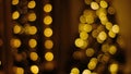 Festive illumination of garland at christmas