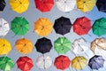 Festive installation - alley of umbrellas on the street of the city