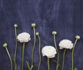 Festive invitation card with beautiful flowers