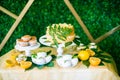 A festive kandi bar decorated in a tropical style with lemon cake muffins and marshmallows and bright balloons Royalty Free Stock Photo