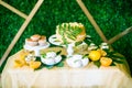 A festive kandi bar decorated in a tropical style with lemon cake muffins and marshmallows and bright balloons Royalty Free Stock Photo