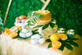 A festive kandi bar decorated in a tropical style with lemon cake muffins and marshmallows and bright balloons Royalty Free Stock Photo