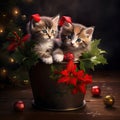 festive kittens next to a gift, a Valentine3