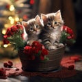 festive kittens next to a gift, a Valentine5