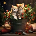 festive kittens next to a gift, a Valentine6