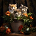 festive kittens next to a gift, a Valentine15