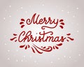 Festive lettering with an ornament, Merry Christmas. Congratulatory illustration, vector