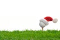 Festive-looking golf ball on tee with Santa Claus` hat