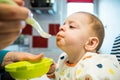 Festive meal. Mother feeding baby solid food for the first time Royalty Free Stock Photo