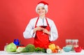 Festive menu concept. Christmas dinner ideas. Christmas menu. No stress. Woman chef cooking wear santa hat drink wine Royalty Free Stock Photo