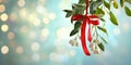 Festive Mistletoe with Red Ribbon A Perfect Christmas Background Image Royalty Free Stock Photo