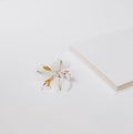 Festive mock up notepad flowers white background