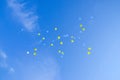 Festive multi-colored balloons in the blue sky Royalty Free Stock Photo