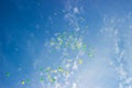 Festive multi-colored balloons in the blue sky Royalty Free Stock Photo