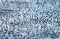 Festive new year natural background with shiny transparent texture crystals of cold frost and snow cover the surface in the winter