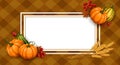 Festive Orange Pumpkins with Grains on Brown Plaid Background with White Frame Royalty Free Stock Photo
