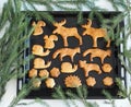 Festive pastry christmas background.Homemade Christmas cookies in the shape of animals on a baking sheet from the kitchen oven, Royalty Free Stock Photo