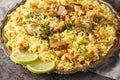 Festive pilaf Kacchi Mutton Biryani with nuts, raisins, fried onion closeup on the plate. Horizontal Royalty Free Stock Photo