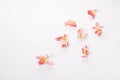 Flowers composition. Frame made of dried pink flowers on white background. Flat lay, top view, copy space Royalty Free Stock Photo