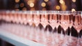 Festive pink rose champagne glasses on bokeh lights background for celebratory toasts Royalty Free Stock Photo