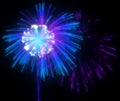 Festive purple and blue fireworks at night