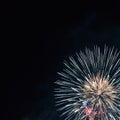 Festive round fireworks in black night sky