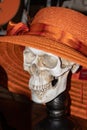 A festive Skeleton in an orange hat, ready for the Halloween celebration. Royalty Free Stock Photo