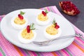 Festive snack stuffed eggs Royalty Free Stock Photo
