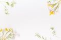 Festive spring border, first spring flower crocus on white background. Royalty Free Stock Photo
