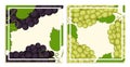Festive square cards with bunch of grapes with leaves and tendrils. Square templates for designing menus for restaurants and cafes