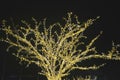 Festive street decoration. Trees with garlands and lights against the background of the night sky. Christmas illumination Royalty Free Stock Photo