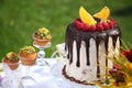 A festive table decorated with birthday cake with flowers and sweets. Royalty Free Stock Photo