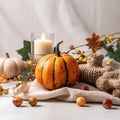 Festive table decorated for Thanksgiving Day. Concept thanksgiving table setting