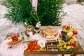 Festive table served for a solemn event with delicacies, fruits and empty glasses against the background of a green bush