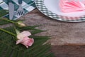 Festive table setting decorated with a pink rose Royalty Free Stock Photo