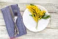 Festive table setting plate with napkin fork and knife and mimosa flower decoration on white wooden background Royalty Free Stock Photo