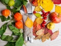 festive thanksgiving autumn cutlery setting and arrangement of colorful fall leaves, red berries Royalty Free Stock Photo
