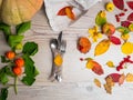 festive thanksgiving autumn cutlery setting and arrangement of colorful fall leaves, red berries, pumpkin Royalty Free Stock Photo