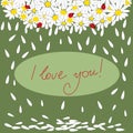 Festive Valentine`s Day greeting card with daisies and ladybirds