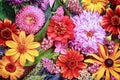 Festive vibrant floral background
