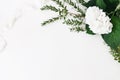 Festive wedding, birthday composition with eucalyptus parvifolia branches, hydrangea flowers and silk ribbon. White Royalty Free Stock Photo