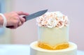 Festive wedding cake with flowers, yellow-orange flowers, bunk, beautiful, gentle, the bride cuts the cake Royalty Free Stock Photo