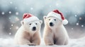 Festive and White Bears in Santa Claus Attire for Christmas Celebration. Royalty Free Stock Photo