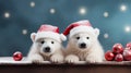 Festive and White Bears in Santa Claus Attire for Christmas Celebration. Royalty Free Stock Photo