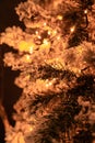 White Flocked Christmas Tree with Lights