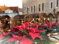 Festive windows Christmas trees decoration reflection on street vitrines snowflakes and gold confeti on glass  at holiday urban st Royalty Free Stock Photo