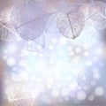 Festive winter background of bokeh lights with frame of hoarfrost leaves Royalty Free Stock Photo