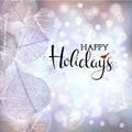 Festive winter background of bokeh lights with frame of hoarfrost leaves Royalty Free Stock Photo